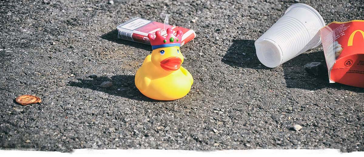 Ente spielt auf der Straße